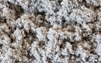 Celuloza i granulat celulozowy – czym jest i jakie ma właściwości?