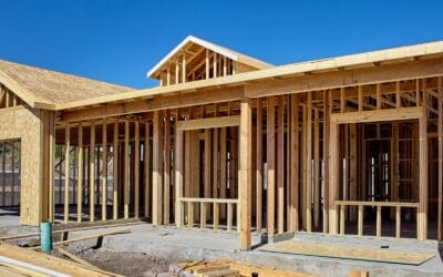 Czy warto ocieplać ściany szkieletowe celulozą?