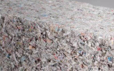 Odpad czy surowiec? Skąd pochodzi celuloza i jak wpływa to na jej jakość?