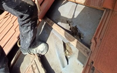 Czego nauczyło mnie 10 lat naprawiania źle wykonanych ociepleń – błędy, które kosztują najwięcej