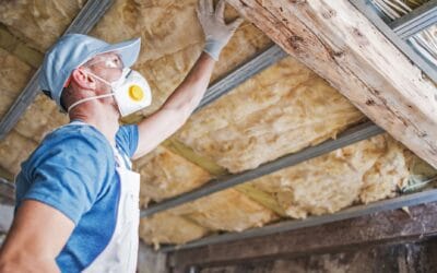 Czy lato to najlepszy okres do naprawy dachu po kunach?